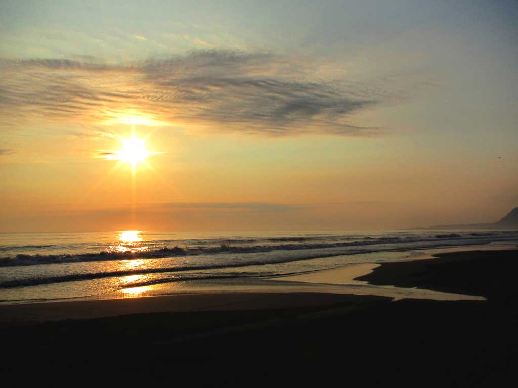 definición de booktrailer