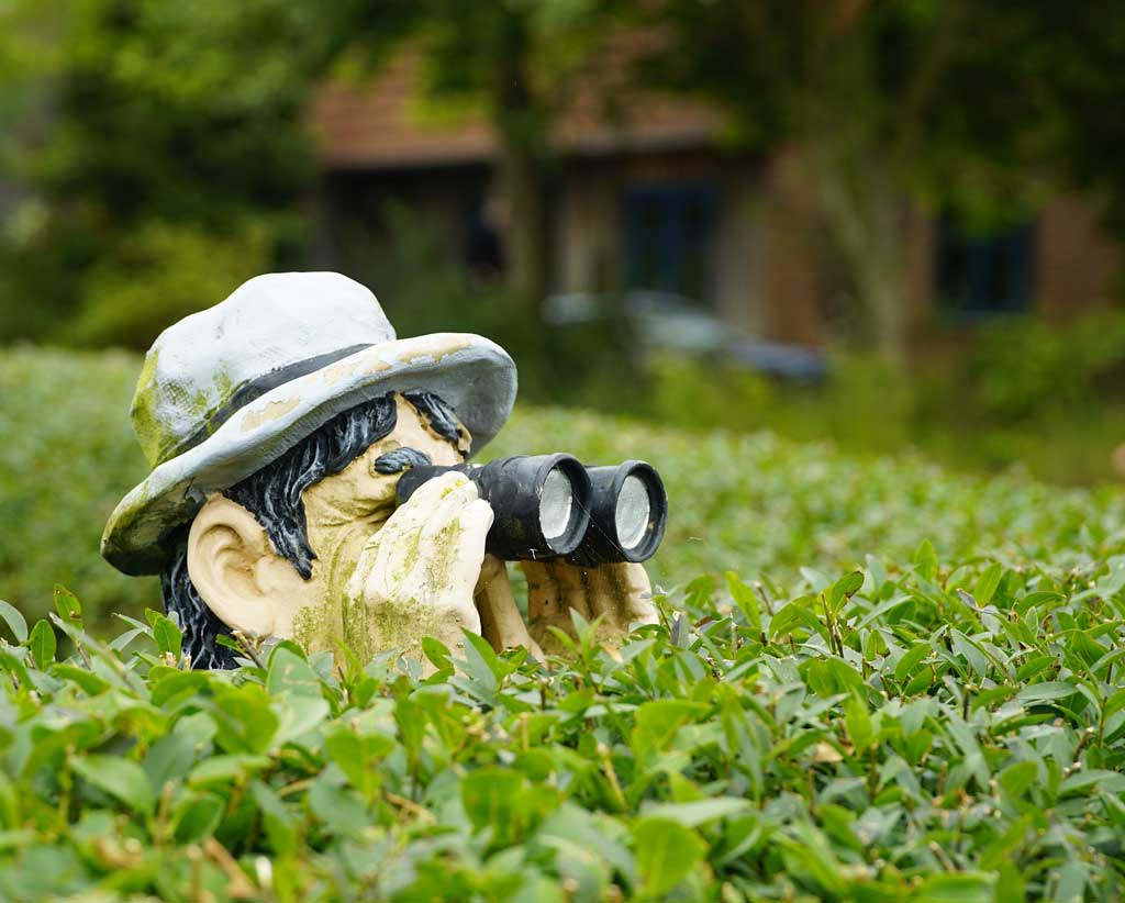 peripecias de un escritor desconocido