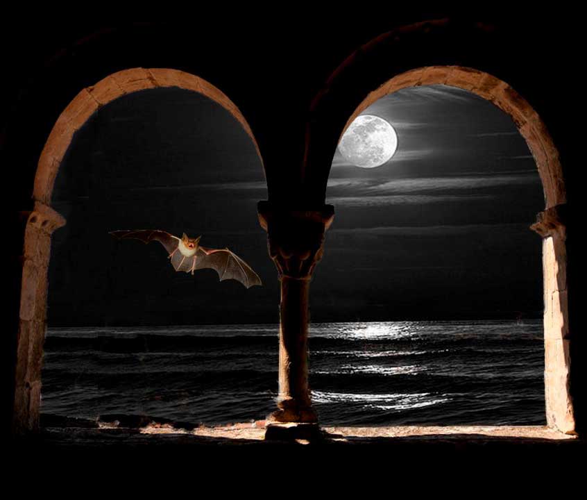 vale la pena hacer un booktrailer