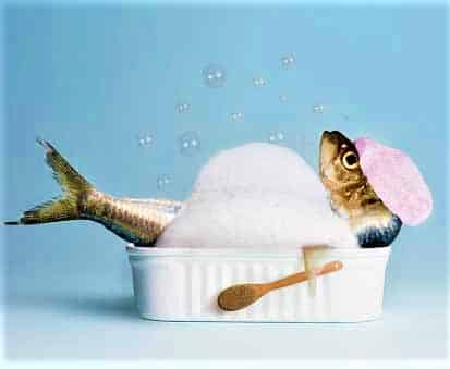 peripecias de escritor autopublicado