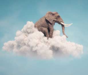 como filtrar ideas a la hora de escribir un libro